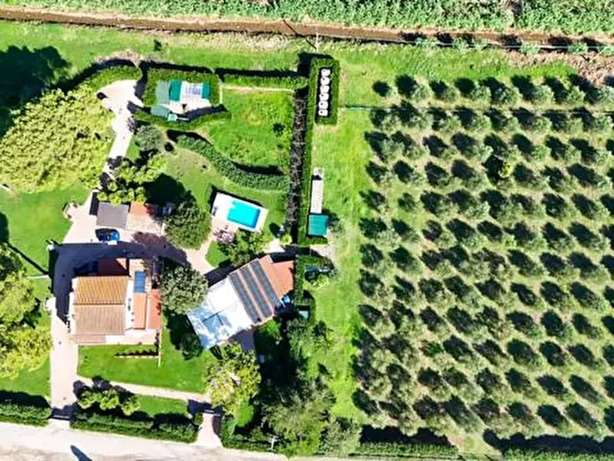 Immagine 39 di Villa in vendita  a Portoferraio