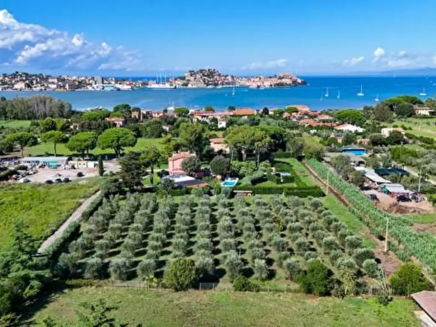 Immagine 43 di Villa in vendita  a Portoferraio