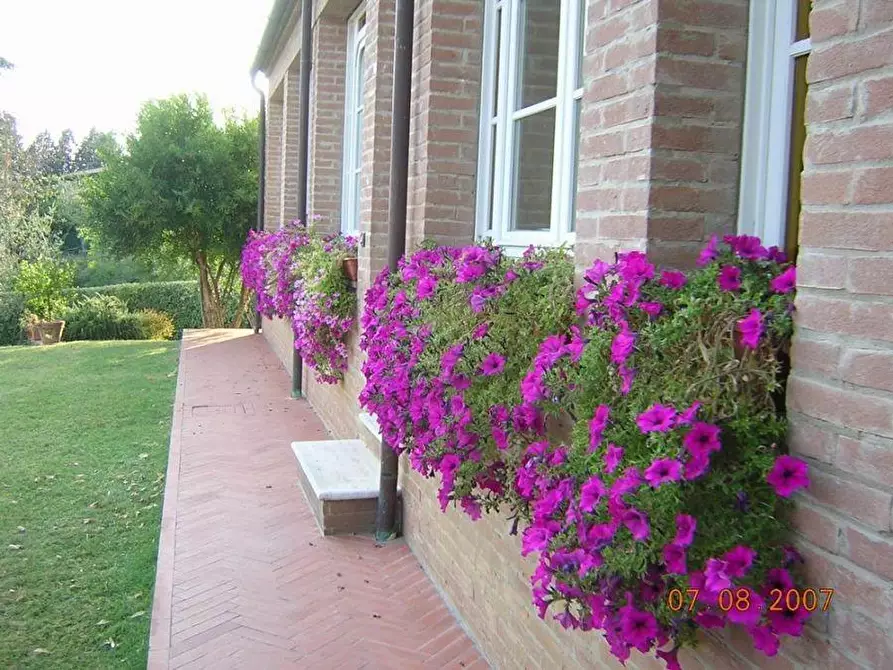 Immagine 1 di Appartamento in affitto  a Siena