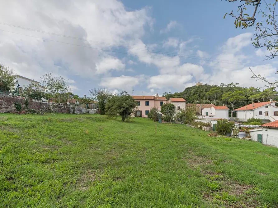 Immagine 18 di Terratetto in vendita  a Livorno