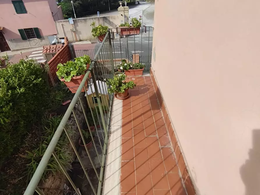 Immagine 27 di Terratetto in vendita  a Livorno