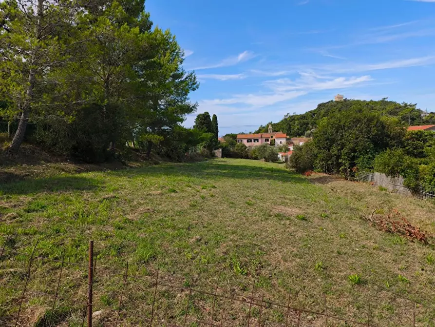 Immagine 11 di Terratetto in vendita  a Livorno