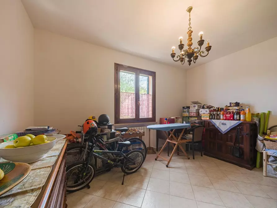 Immagine 19 di Terratetto in vendita  a Livorno