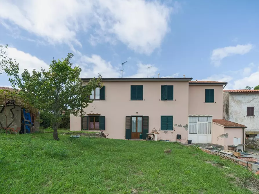 Immagine 5 di Terratetto in vendita  a Livorno