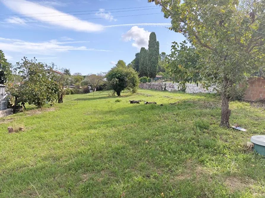 Immagine 26 di Terratetto in vendita  a Livorno