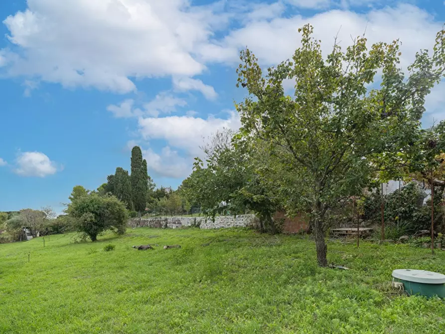 Immagine 7 di Terratetto in vendita  a Livorno