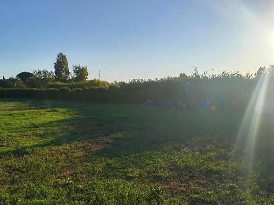 Immagine 4 di Terreno residenziale in vendita  a Ponsacco