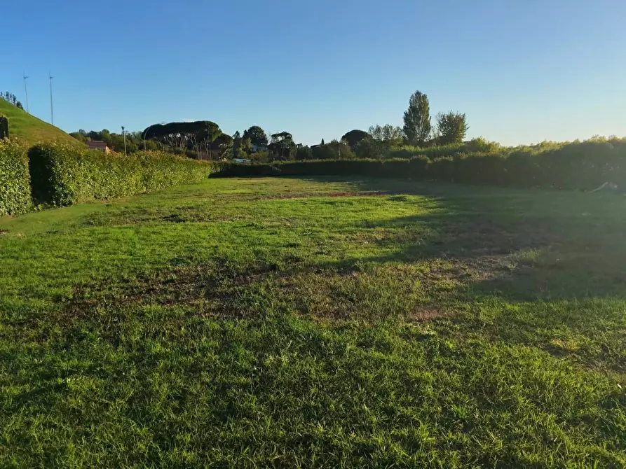 Immagine 2 di Terreno residenziale in vendita  a Ponsacco