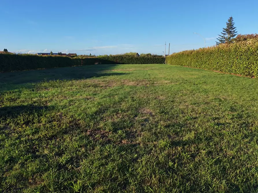 Immagine 3 di Terreno residenziale in vendita  a Ponsacco