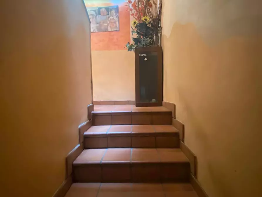 Immagine 6 di Terratetto in vendita  a Castelfranco Di Sotto