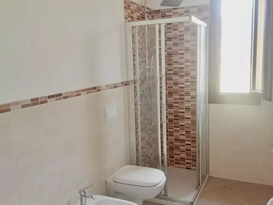 Immagine 5 di Appartamento in vendita  a San Giuliano Terme