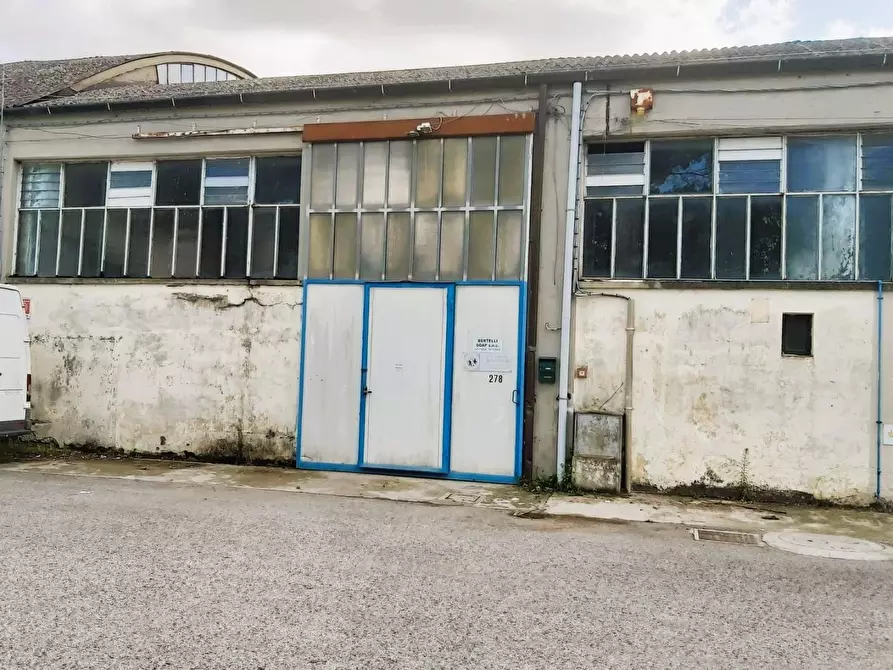 Immagine 12 di Attività artigianale in affitto  a Vicopisano