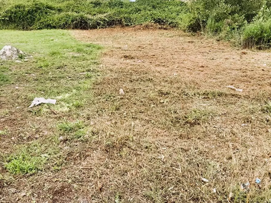 Immagine 13 di Attività artigianale in affitto  a Vicopisano