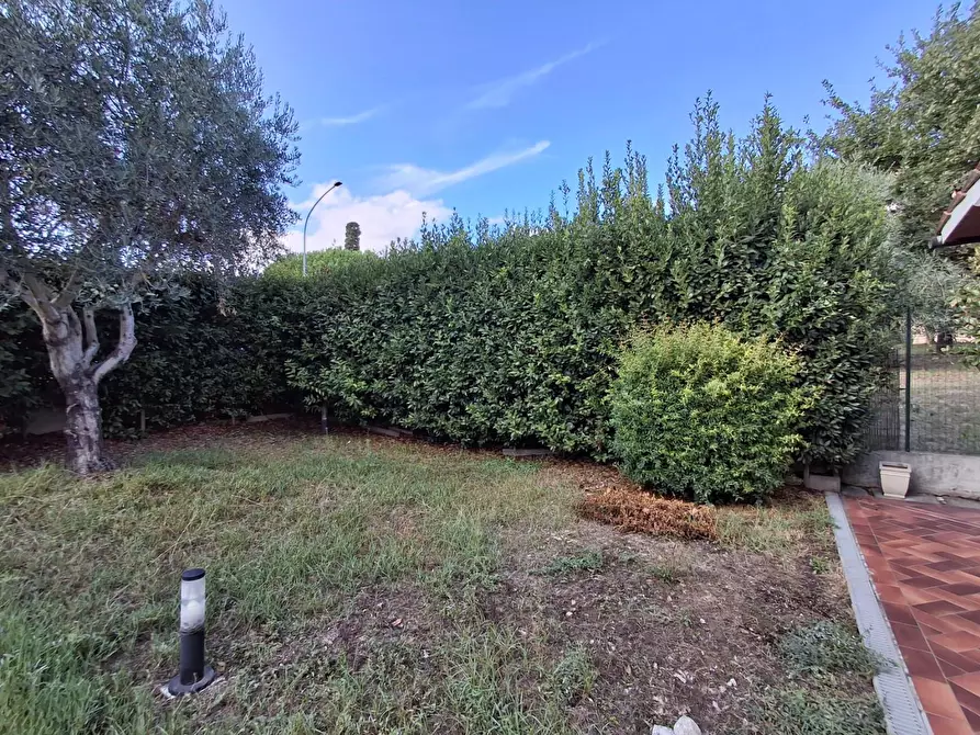 Immagine 3 di Terratetto in vendita  a Montelupo Fiorentino