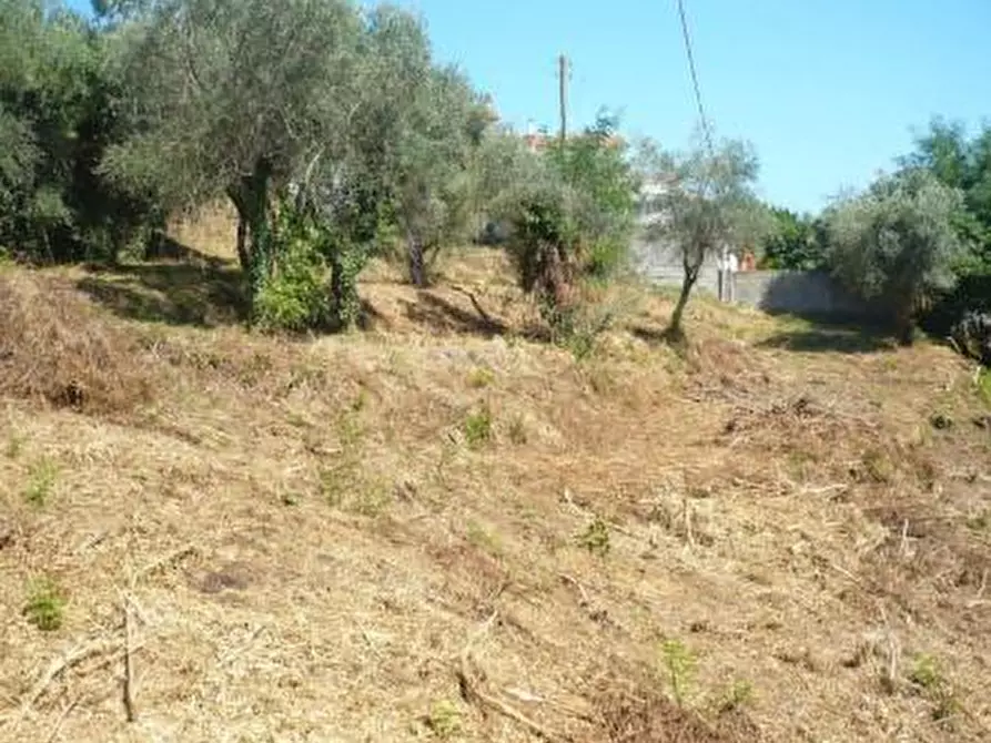 Immagine 1 di Terreno residenziale in vendita  a Crespina Lorenzana