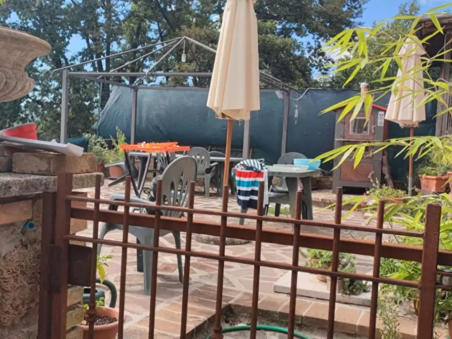 Immagine 5 di Casa colonica in vendita  a Chiusdino