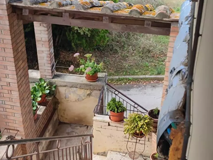 Immagine 15 di Casa colonica in vendita  a Chiusdino