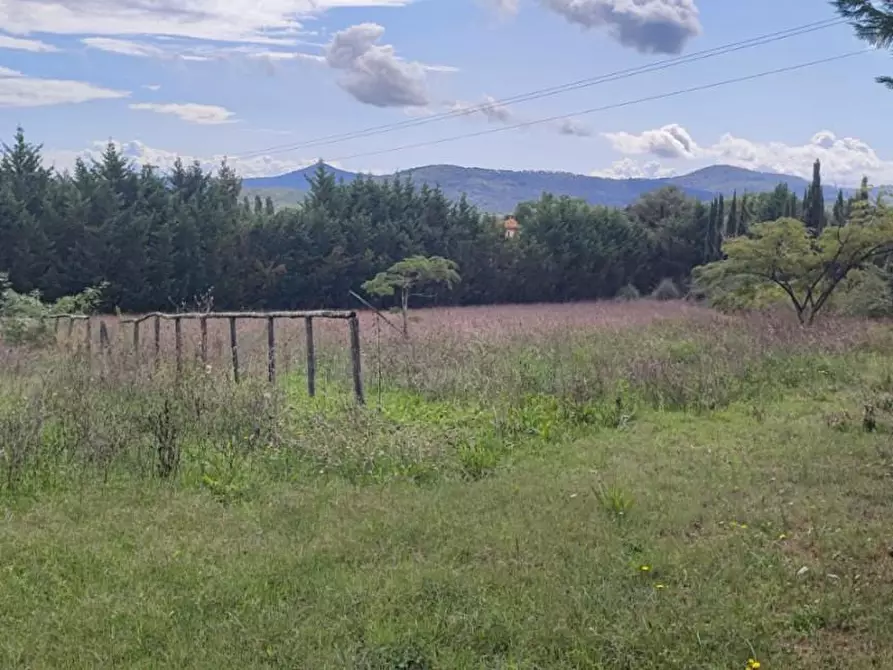 Immagine 4 di Casa colonica in vendita  a Chiusdino