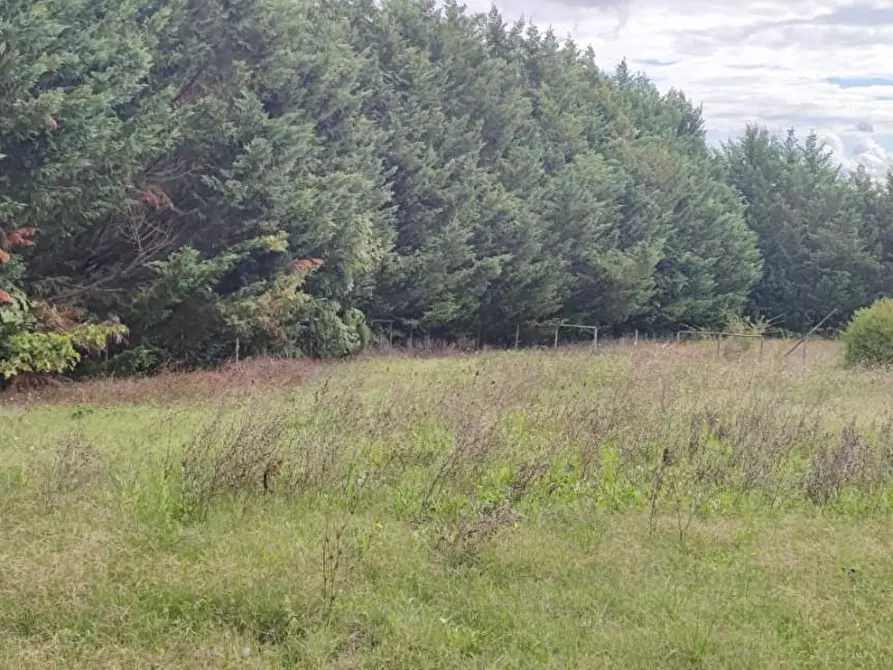 Immagine 3 di Casa colonica in vendita  a Chiusdino