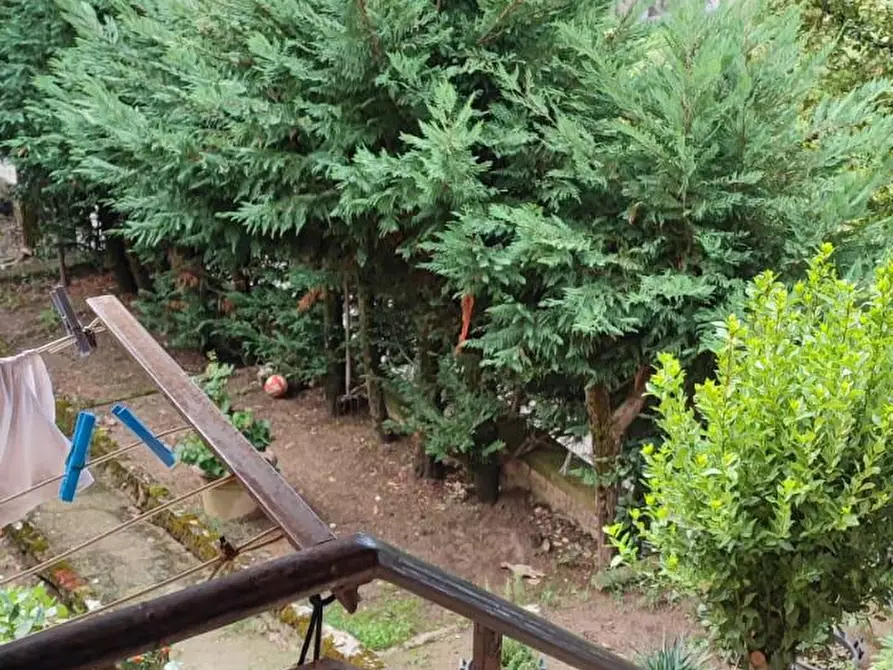 Immagine 18 di Casa colonica in vendita  a Chiusdino