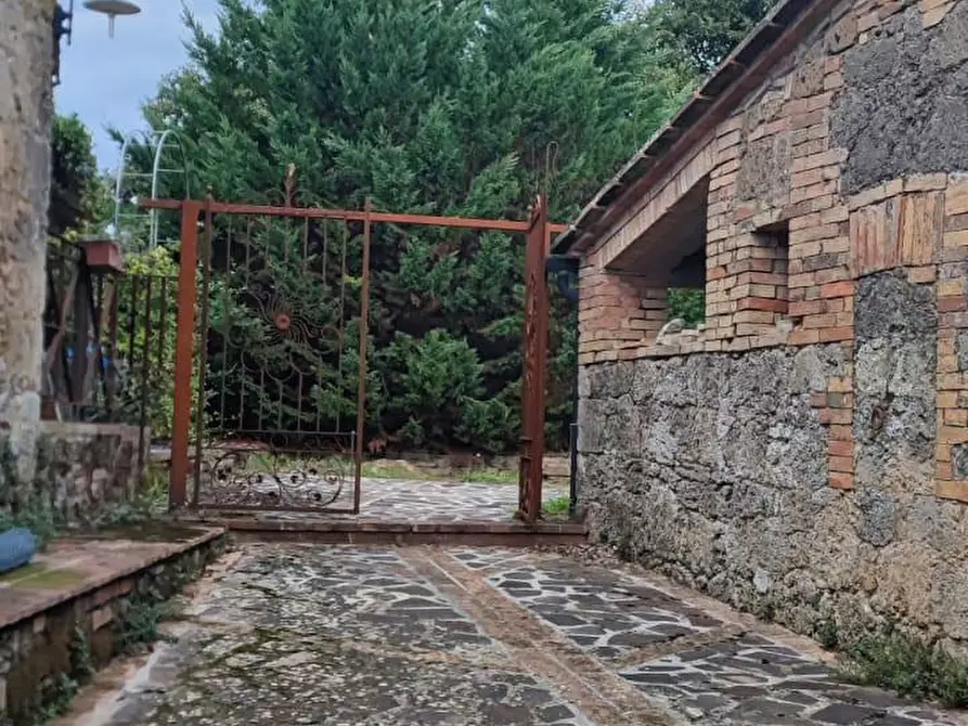 Immagine 7 di Casa colonica in vendita  a Chiusdino