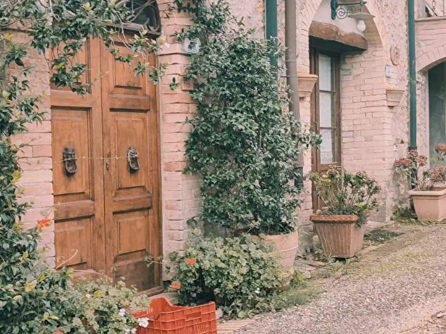 Immagine 10 di Casa colonica in vendita  a Chiusdino