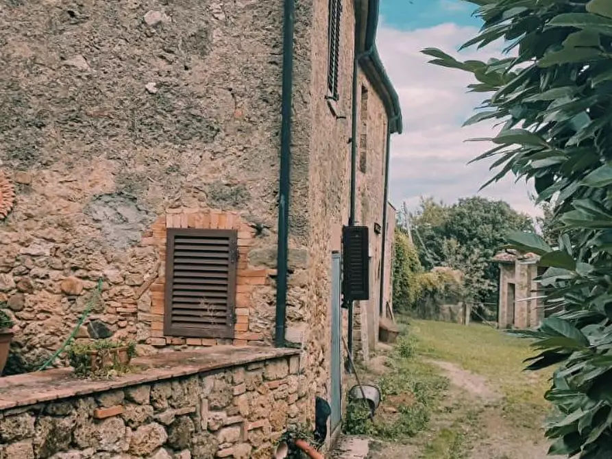 Immagine 12 di Casa colonica in vendita  a Chiusdino