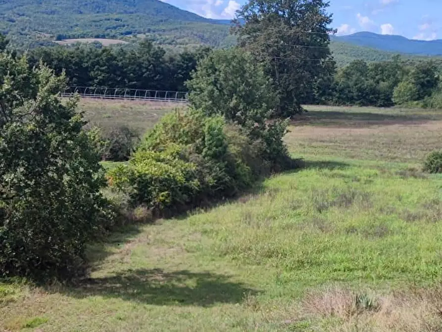 Immagine 14 di Casa colonica in vendita  a Chiusdino