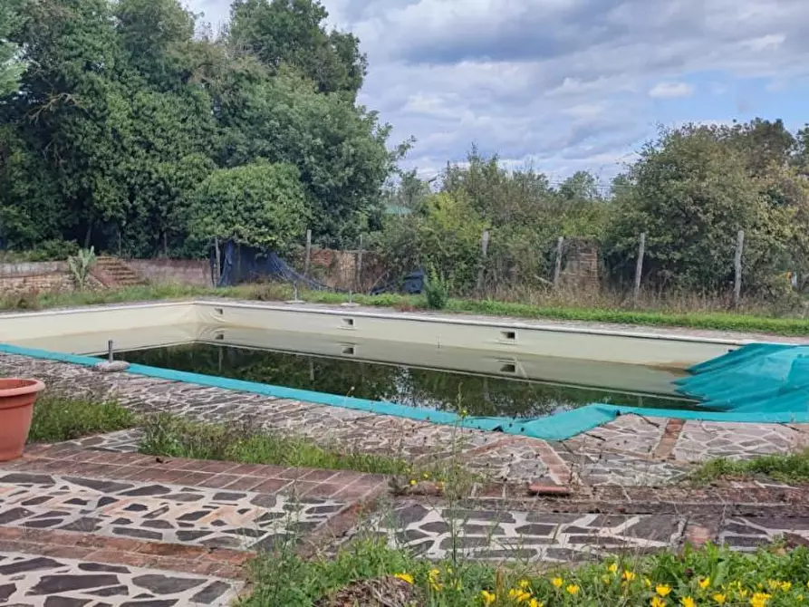 Immagine 6 di Casa colonica in vendita  a Chiusdino