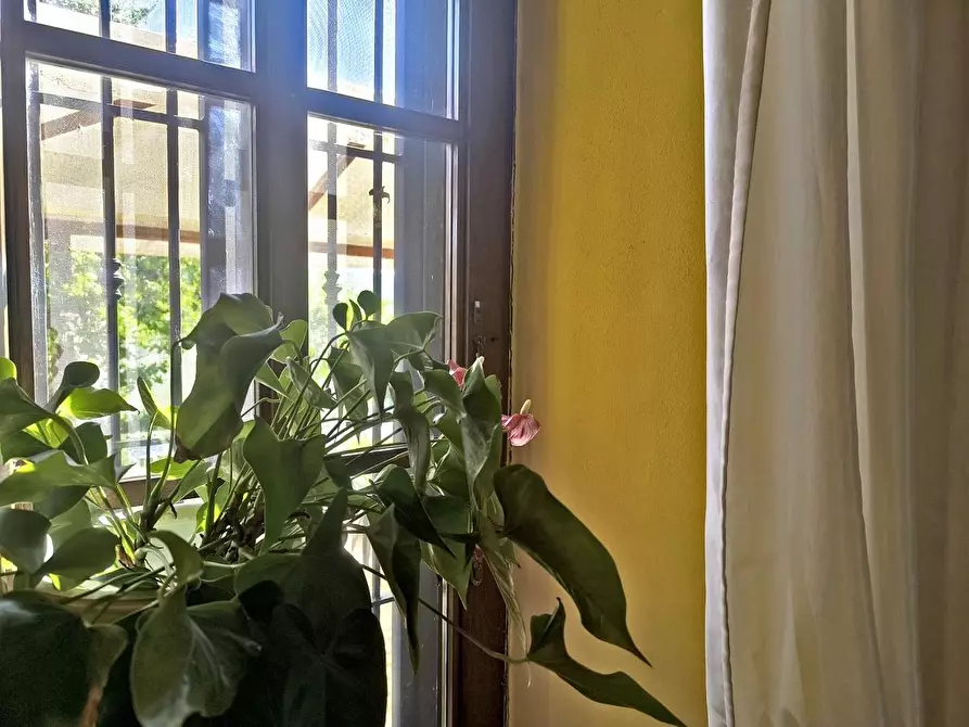 Immagine 1 di Appartamento in vendita  a Asciano