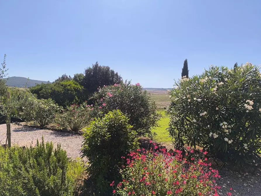 Immagine 49 di Appartamento in vendita  a Asciano