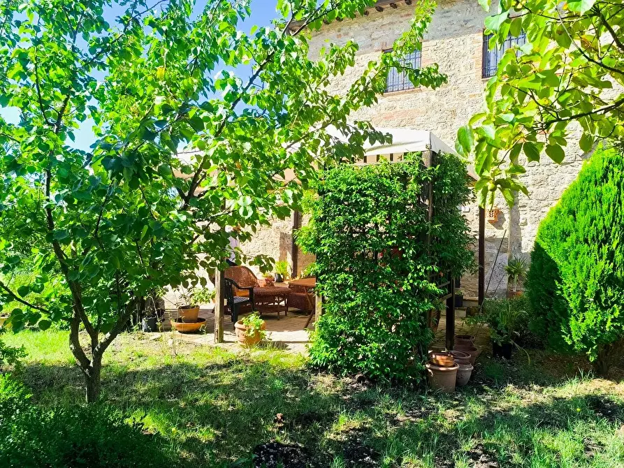 Immagine 44 di Appartamento in vendita  a Asciano