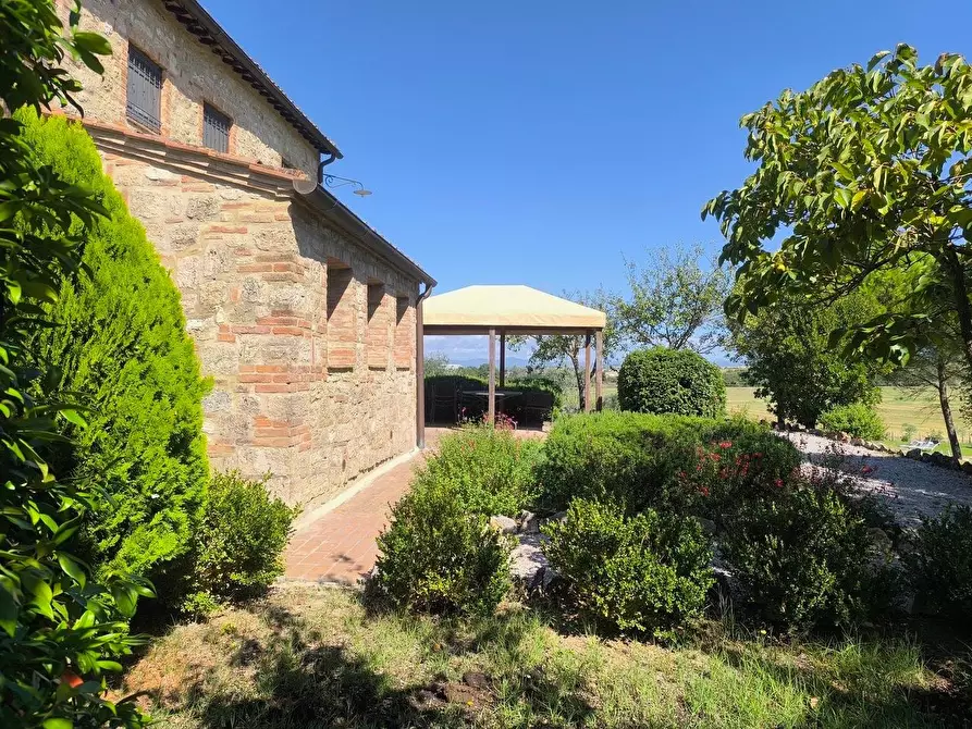 Immagine 47 di Appartamento in vendita  a Asciano