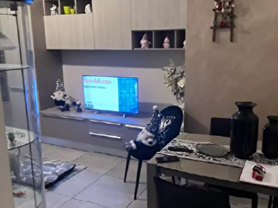 Immagine 4 di Appartamento in vendita  a Nichelino