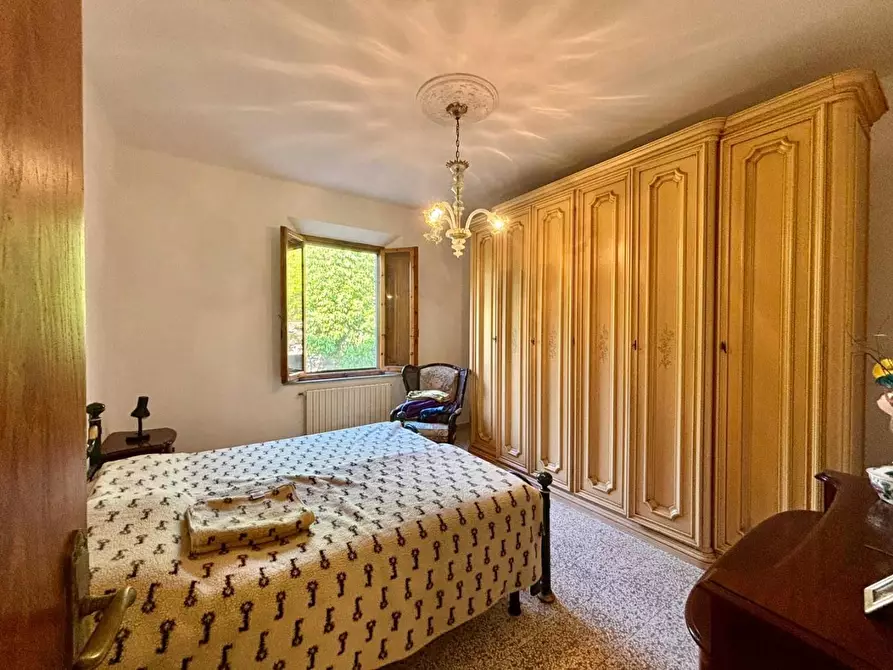 Immagine 19 di Casa indipendente in vendita  a Terricciola