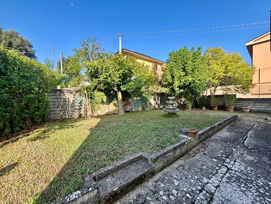 Immagine 6 di Casa indipendente in vendita  a Terricciola