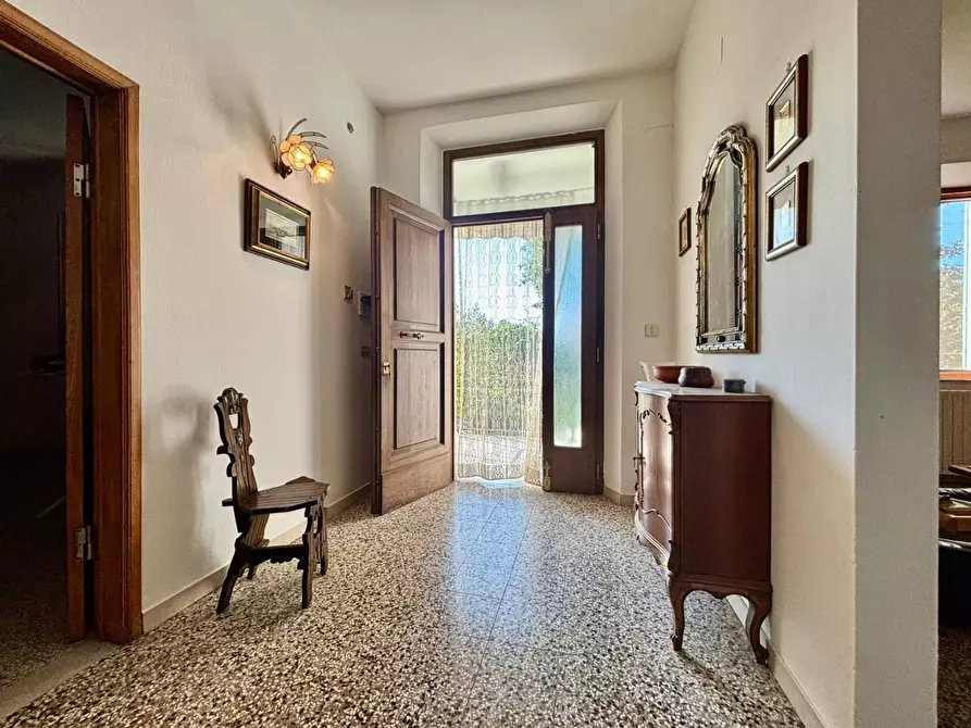 Immagine 9 di Casa indipendente in vendita  a Terricciola
