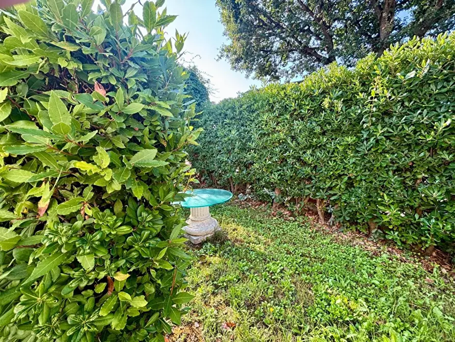 Immagine 5 di Casa indipendente in vendita  a Terricciola