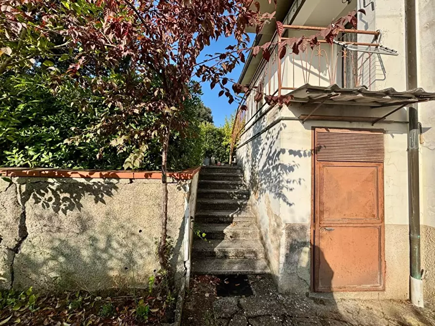 Immagine 4 di Casa indipendente in vendita  a Terricciola