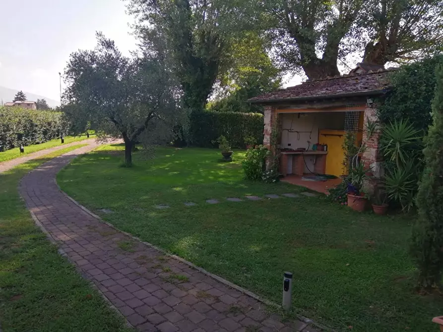 Immagine 6 di Rustico / casale in vendita  a Lucca