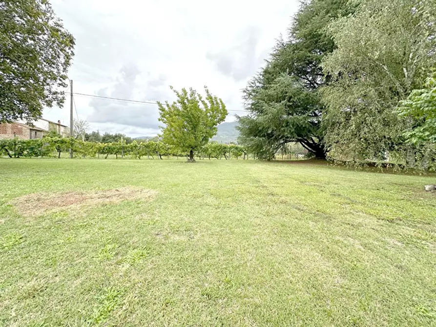 Immagine 30 di Casa colonica in vendita  a Capannori