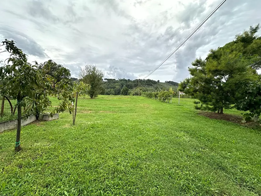 Immagine 32 di Casa colonica in vendita  a Capannori