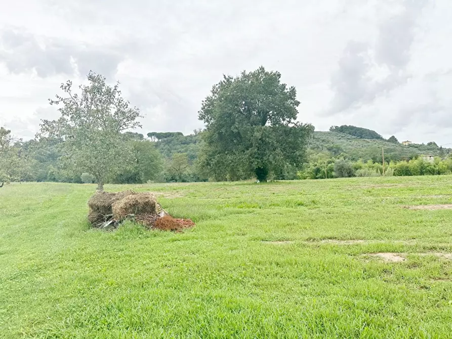 Immagine 35 di Casa colonica in vendita  a Capannori