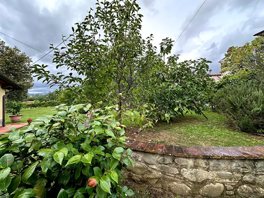 Immagine 3 di Casa colonica in vendita  a Capannori