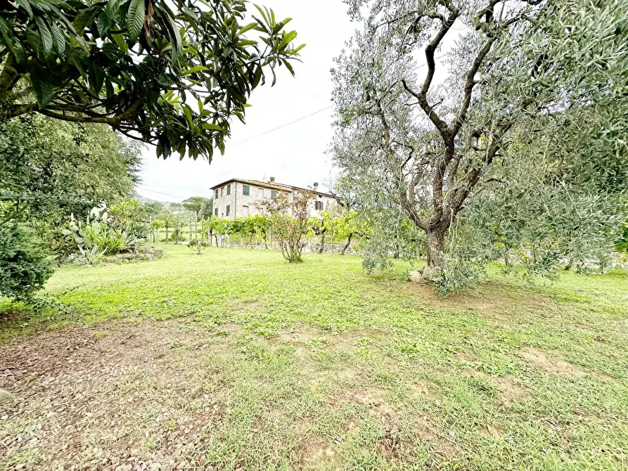 Immagine 29 di Casa colonica in vendita  a Capannori