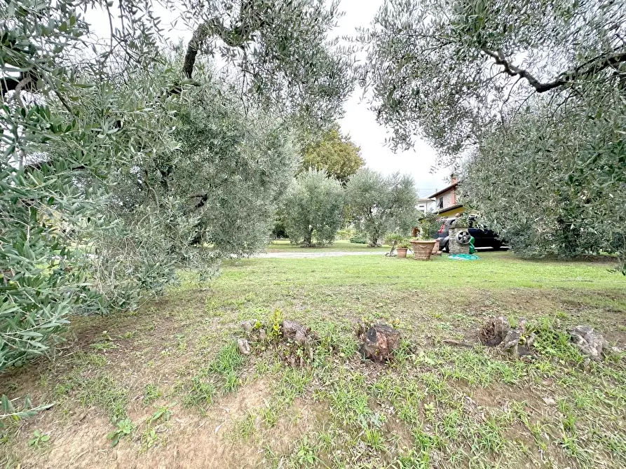 Immagine 33 di Casa colonica in vendita  a Capannori