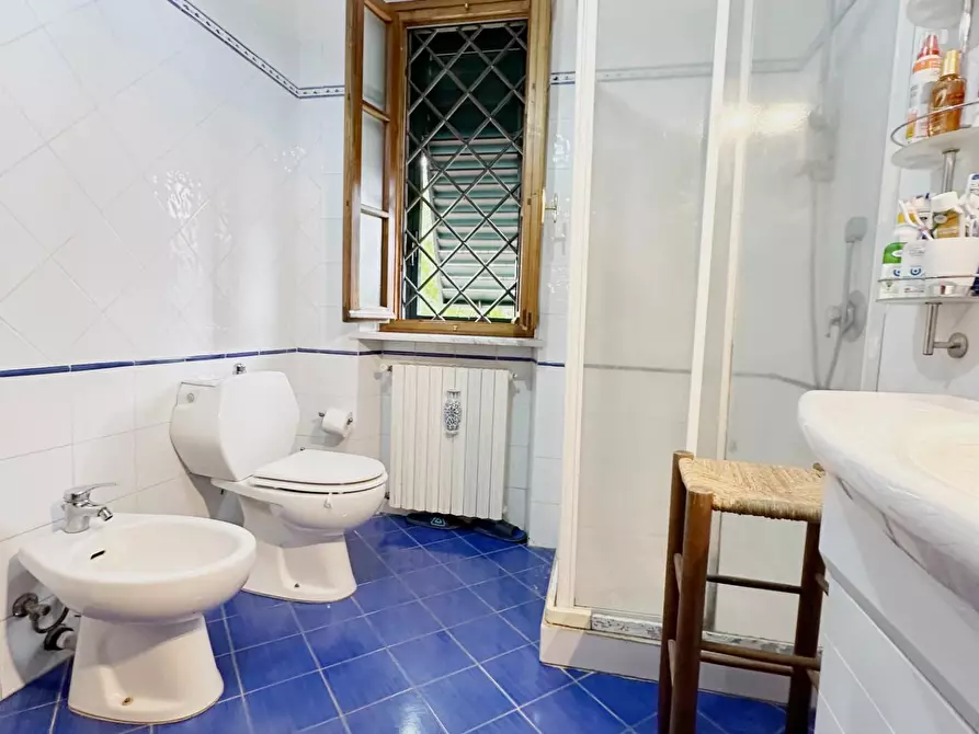 Immagine 13 di Casa colonica in vendita  a Capannori