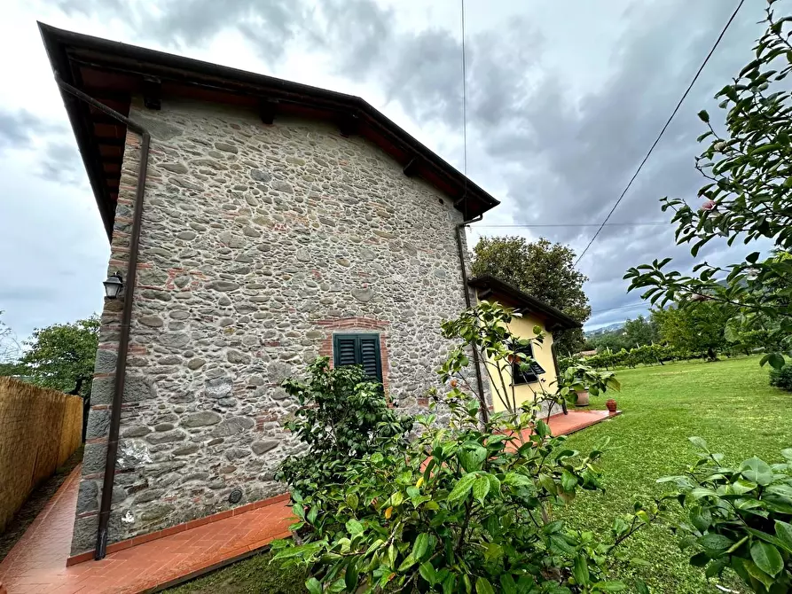 Immagine 27 di Casa colonica in vendita  a Capannori