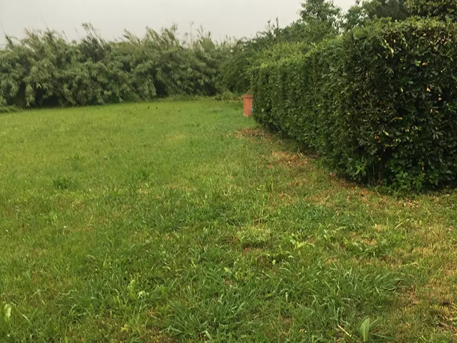 Immagine 47 di Casa bifamiliare in vendita  a Pisa