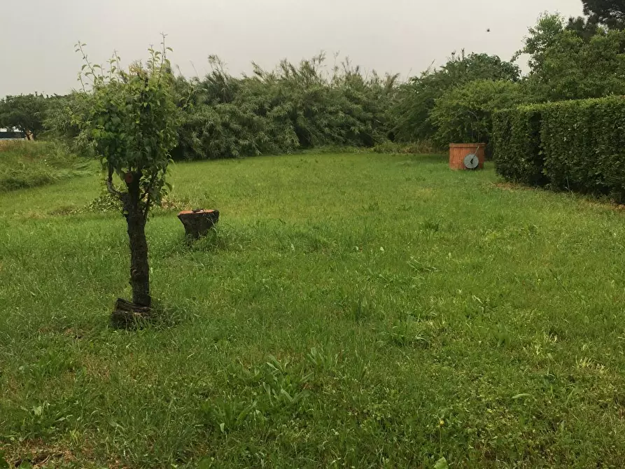 Immagine 26 di Casa bifamiliare in vendita  a Pisa